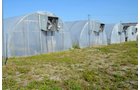 Property photo 105 - PERSONAL PROPERTY AUCTION OF DEWALD GARDENS IN ALLEN COUNTY, INDIANA